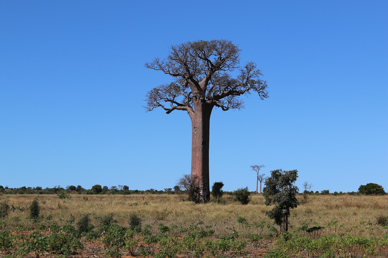 Vue de Ambohitsiroa