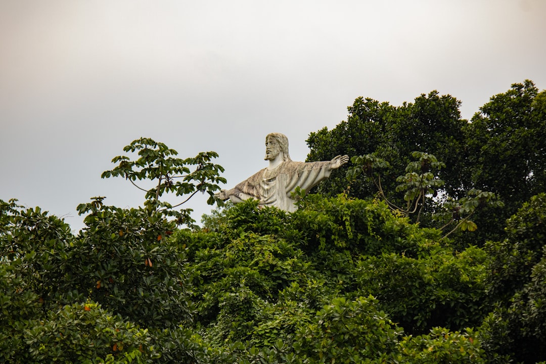 Vue de Araguari