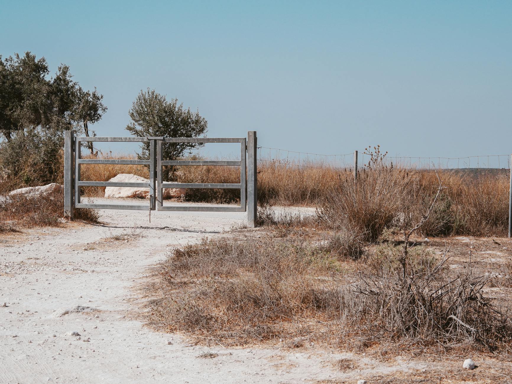 Paysage de Beit Shemesh
