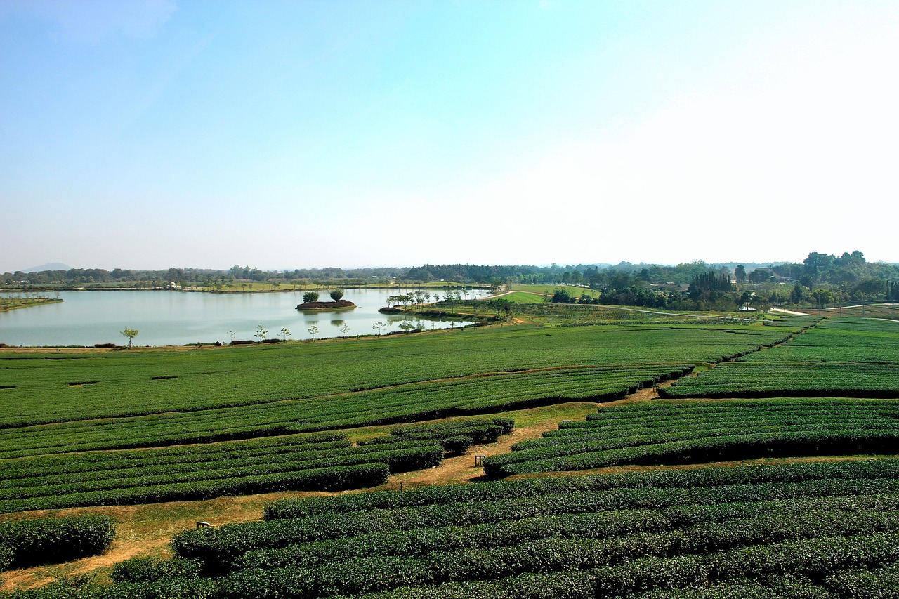 Vue de Boon-lay-north