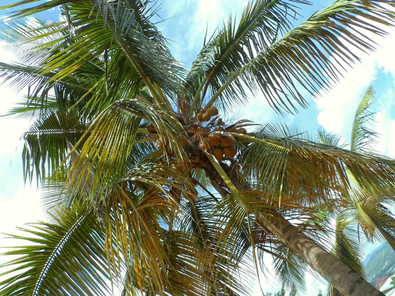 Paysage de Bujumbura