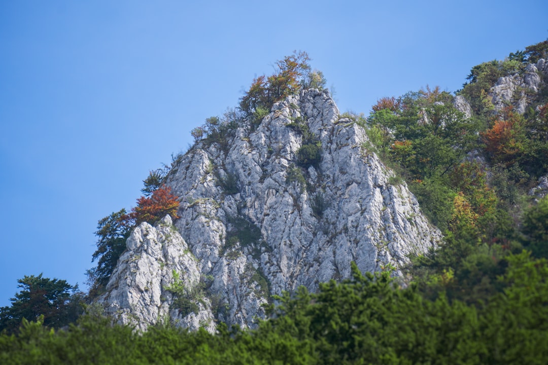 Vue de Bunnik
