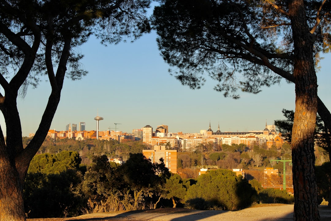 Vue de Carmona