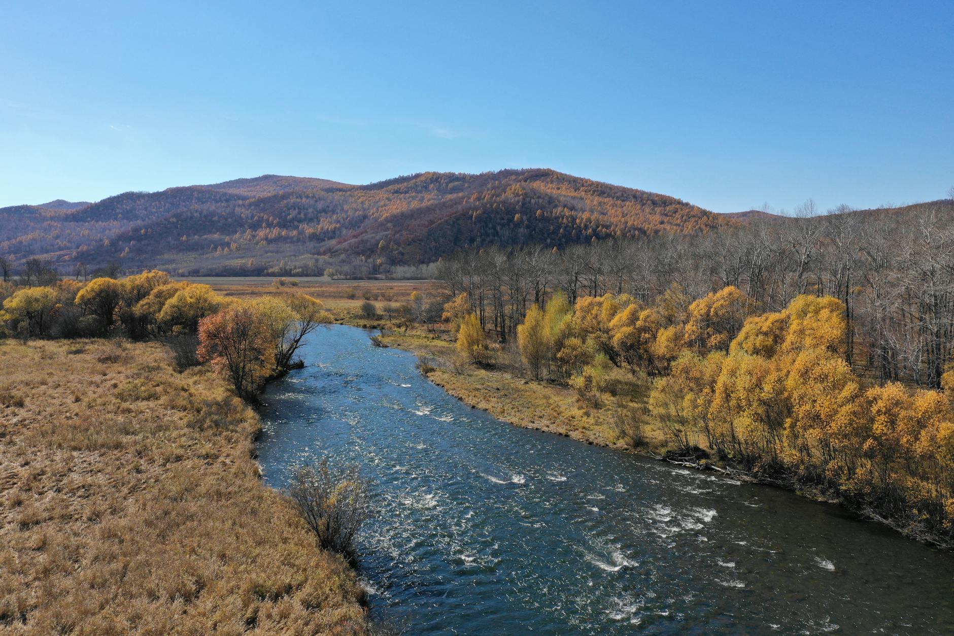 Vue de Da-hinggan-ling