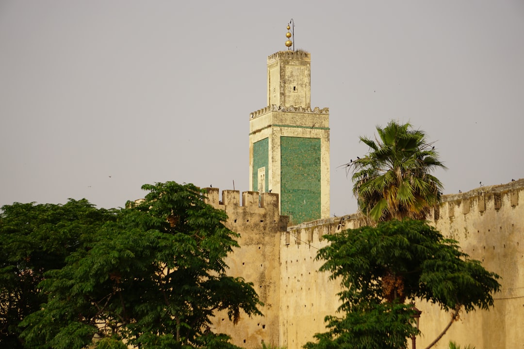 Vue de Desouk