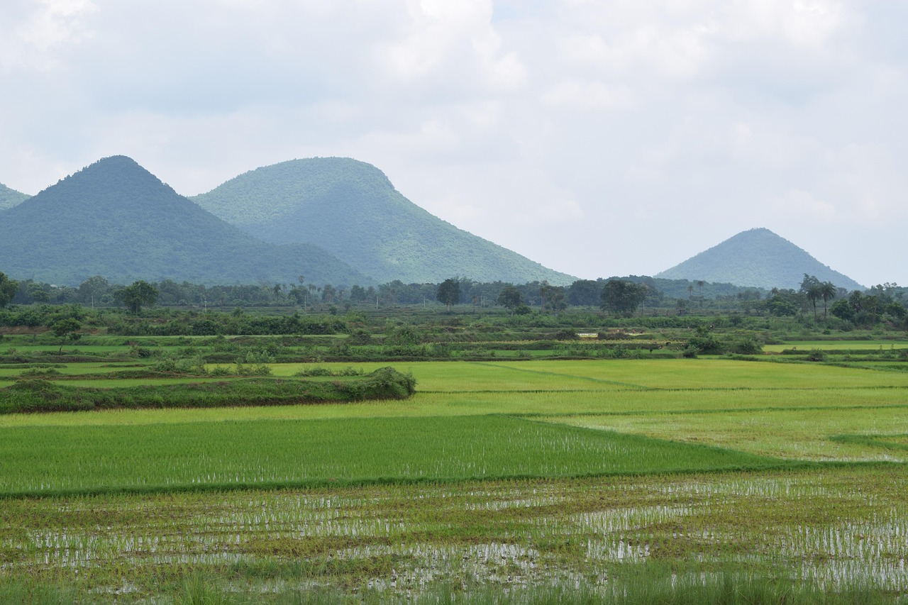 Vue de Dhenkanal