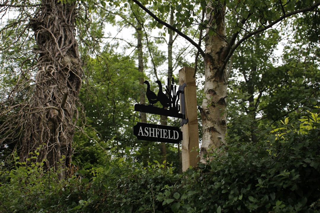 Vue de Driffield