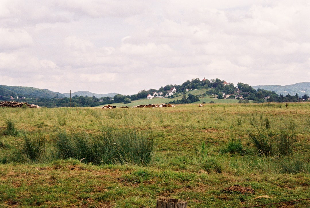 Vue de Driffield