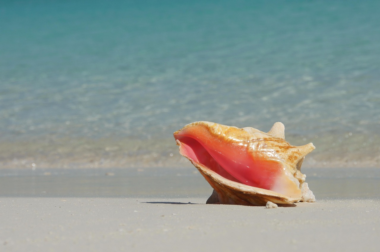 Paysage de EXUMA