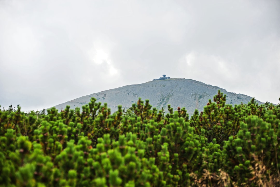 Vue de Fuwa