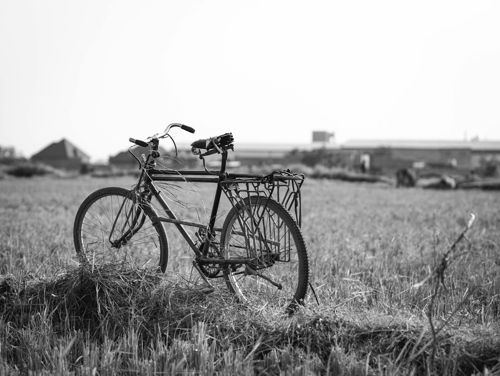 Paysage de Kamenge
