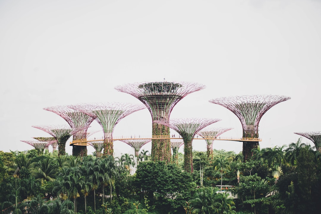 Vue de Kampong-ubi