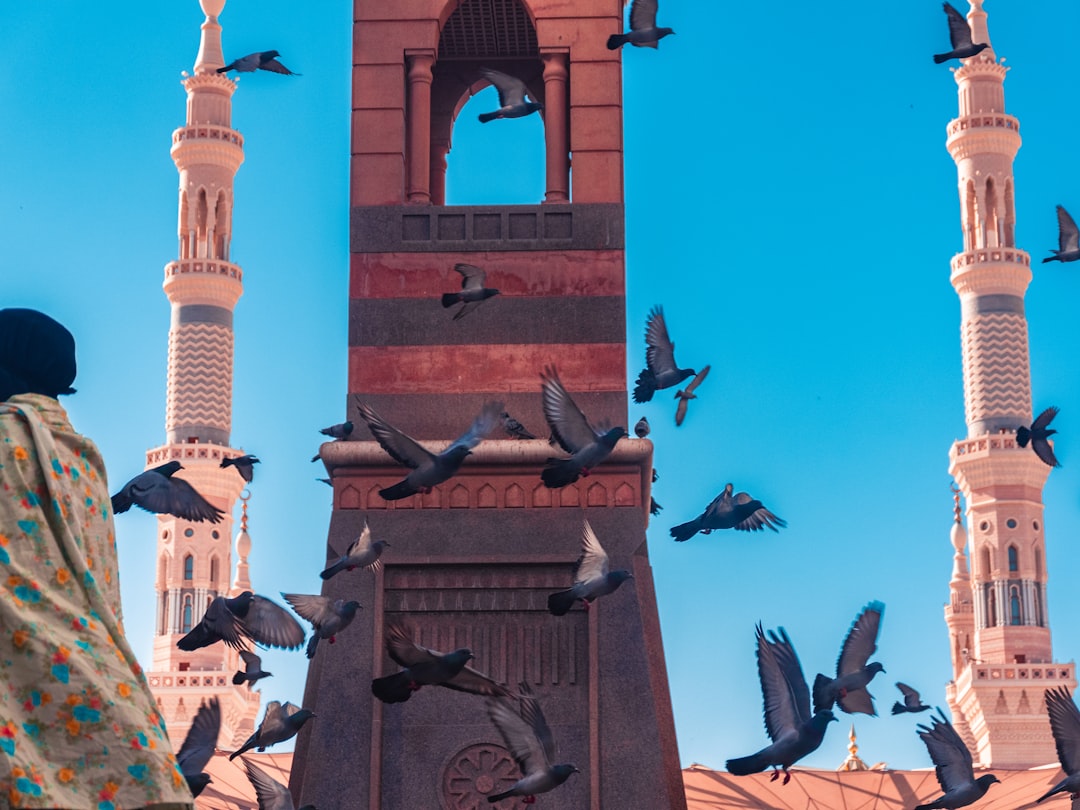 Vue de Kilis-merkez