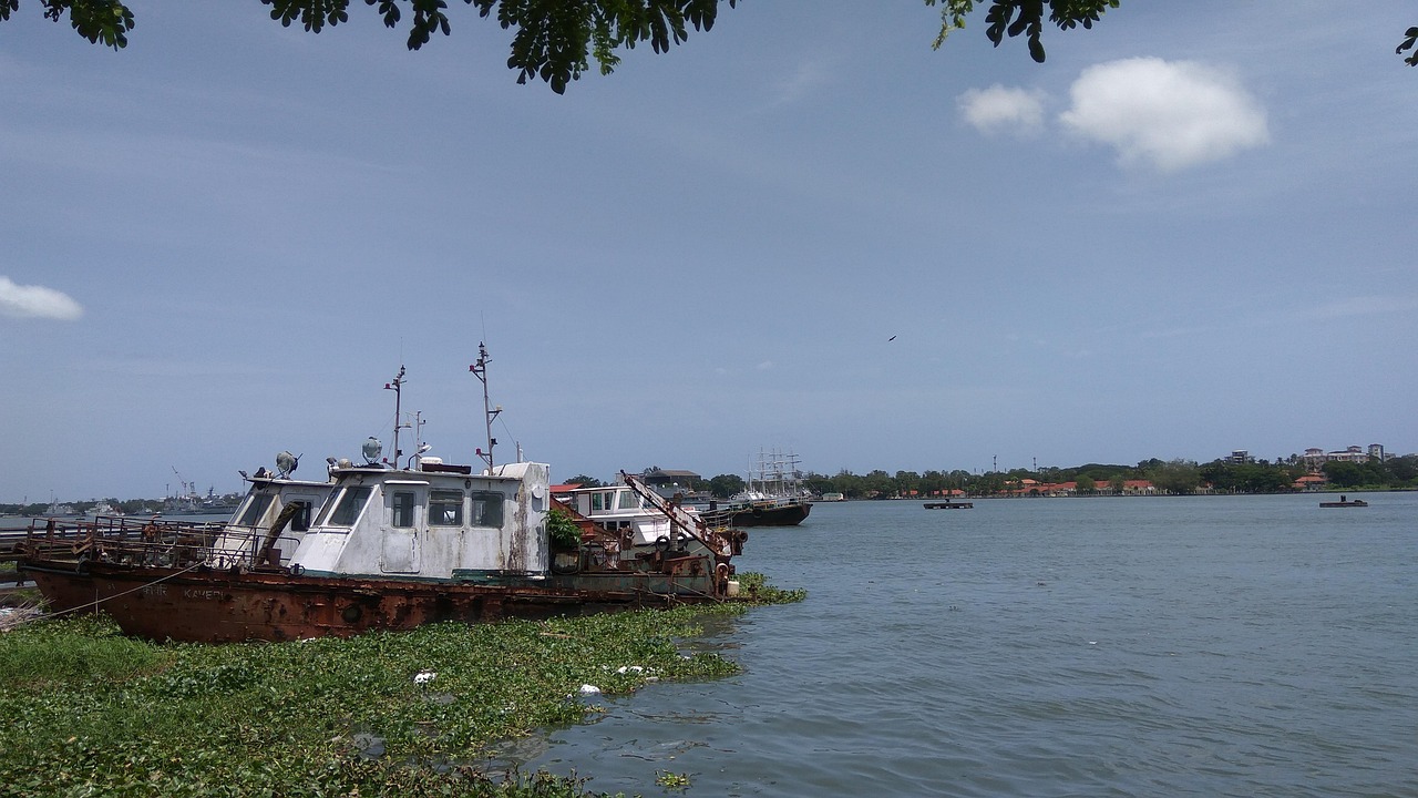 Vue de Kochi