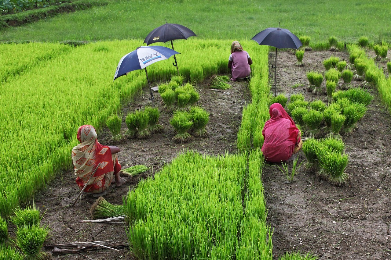 Vue de Kushtia-sadar