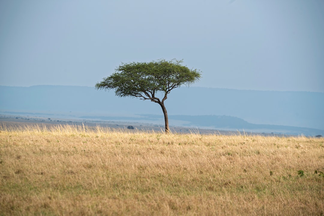 Vue de Kutus