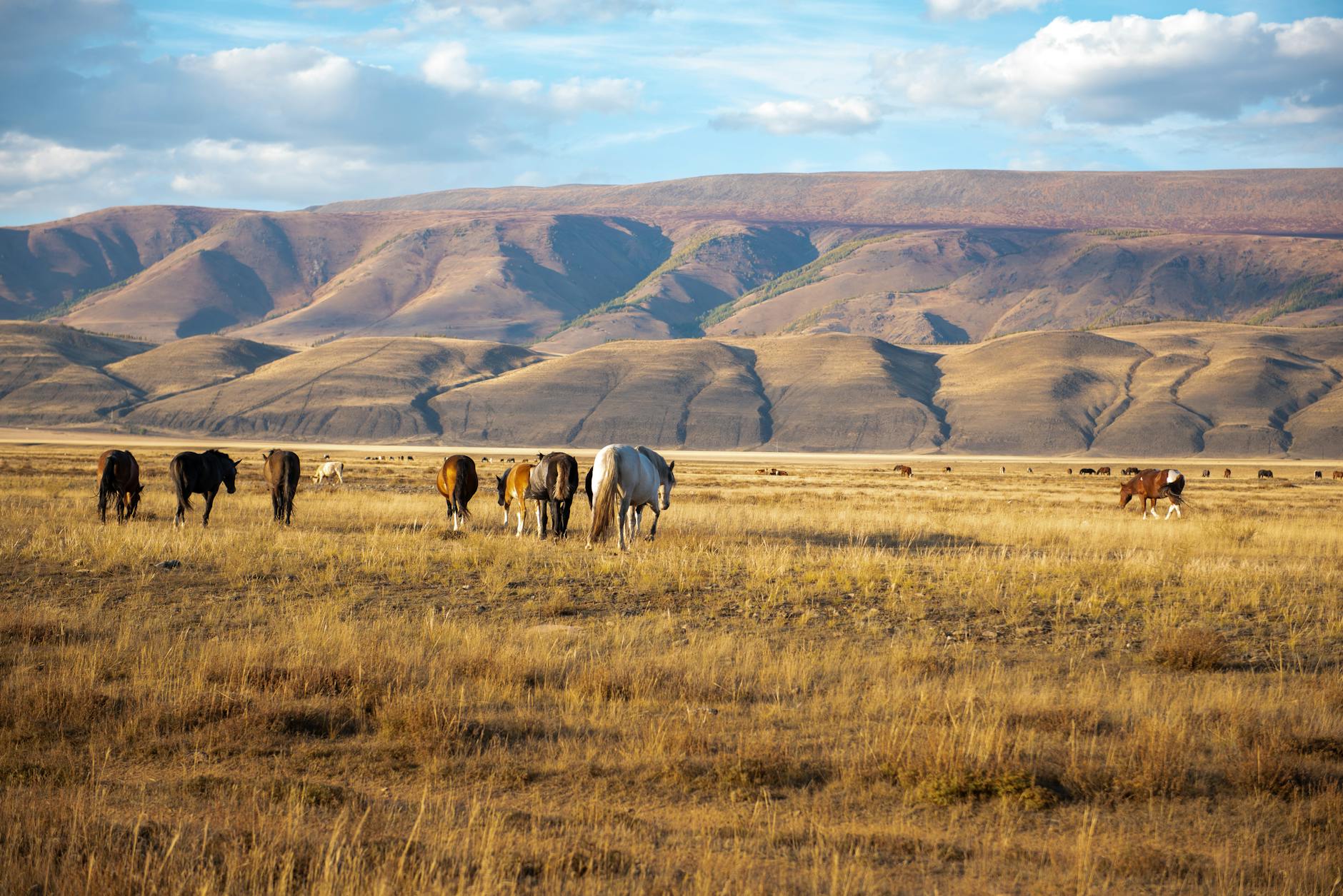 Vue de Kyzyl