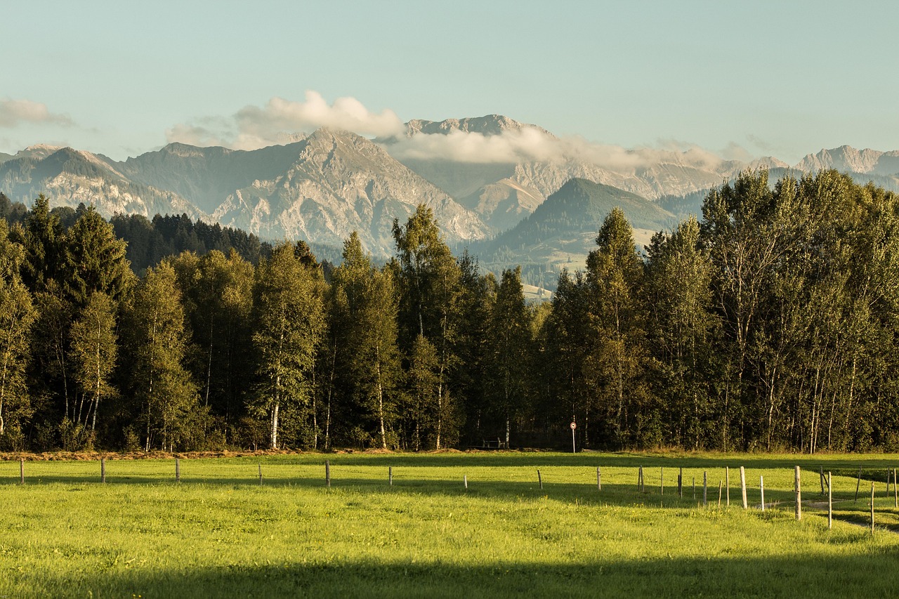 Vue de Leutkirch-im-allgau