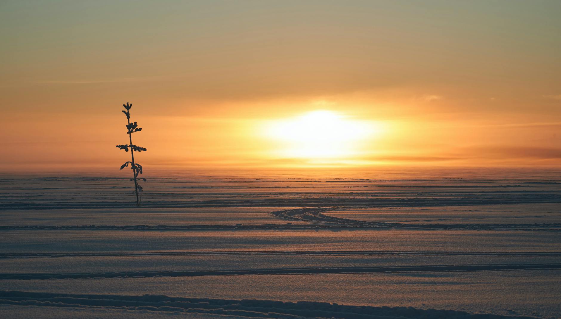 Vue de Lulea