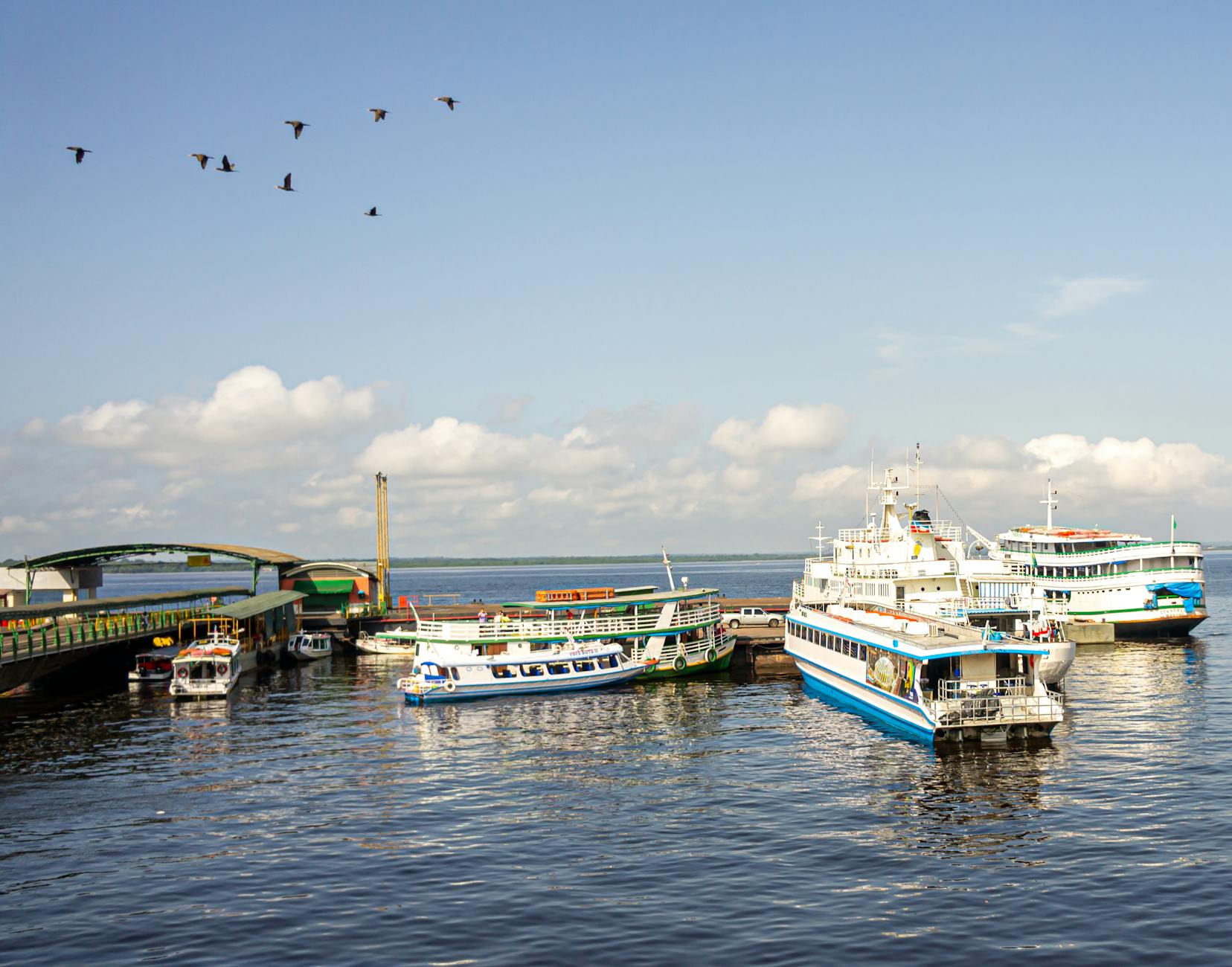 Paysage de Manaus