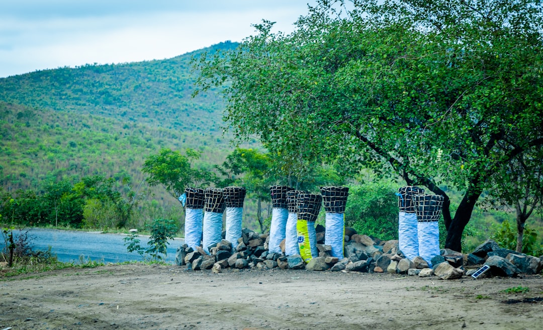 Paysage de Mangochi