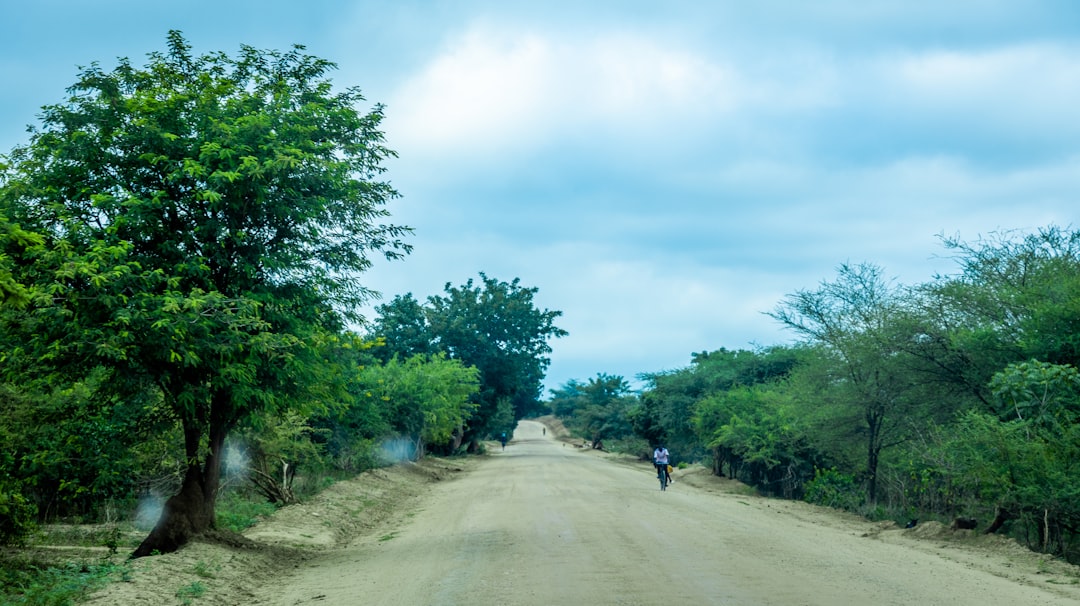 Paysage de Mangochi