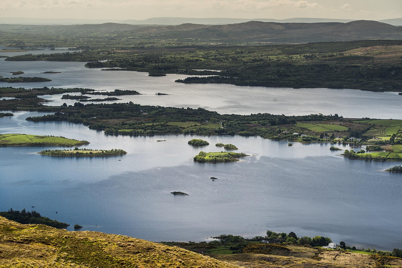 Vue de Midleton