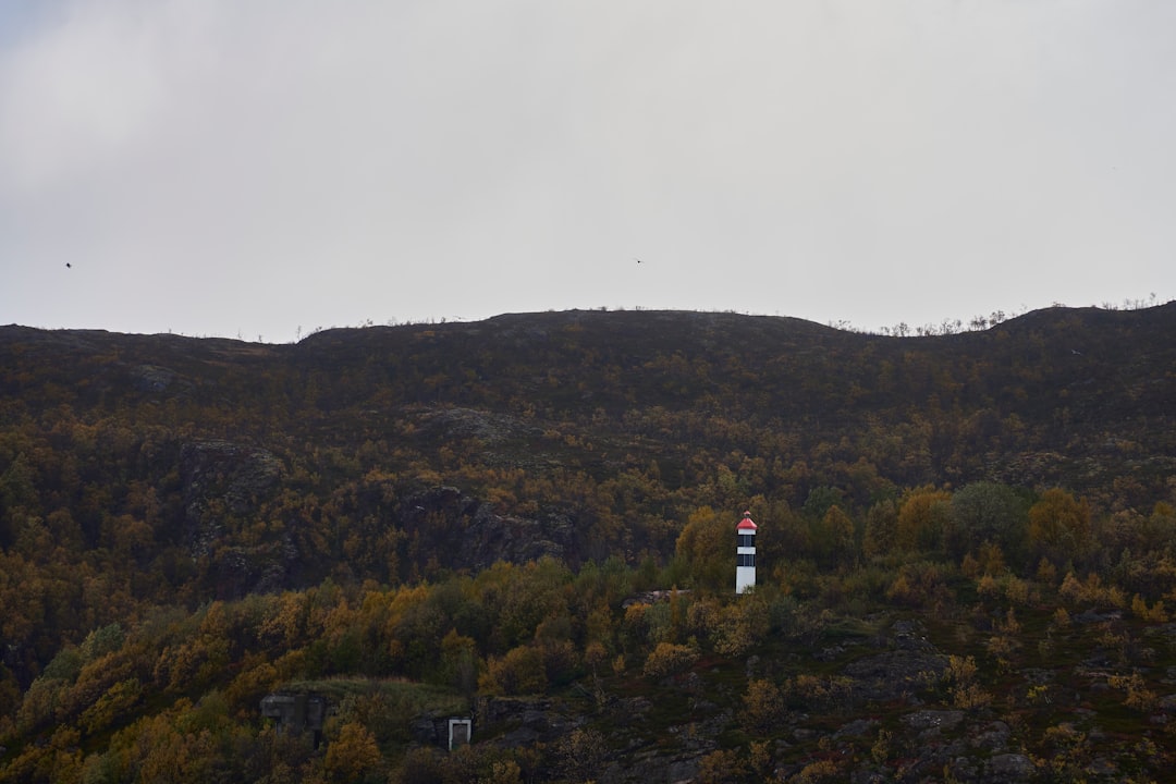 Vue de Montebello