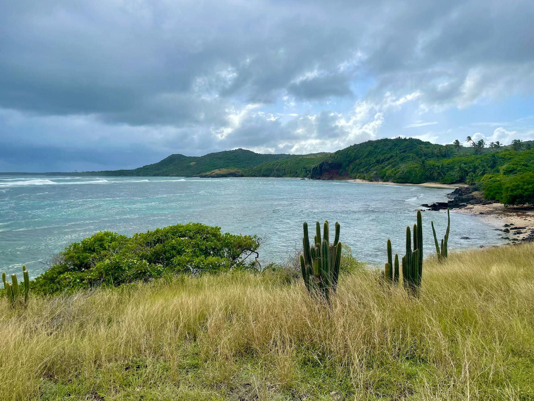 Paysage de Morne-Vert