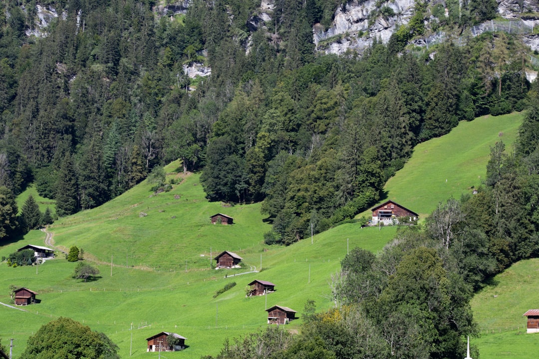 Vue de Neuhausen-am-rheinfall