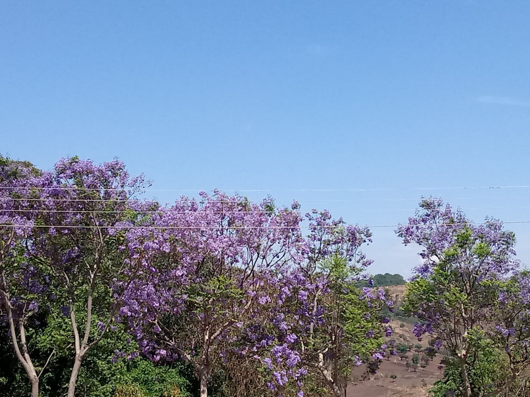 Vue de Nsanje