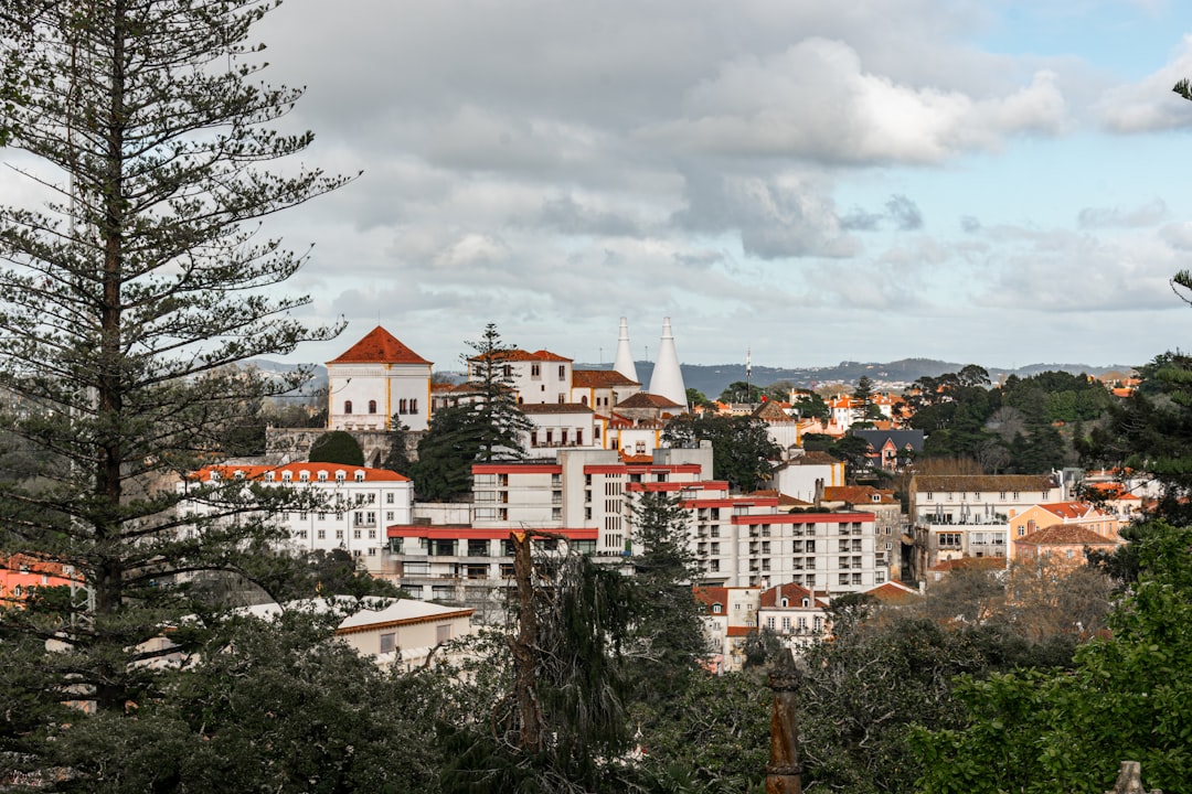 Vue de Oliveira-de-azemeis