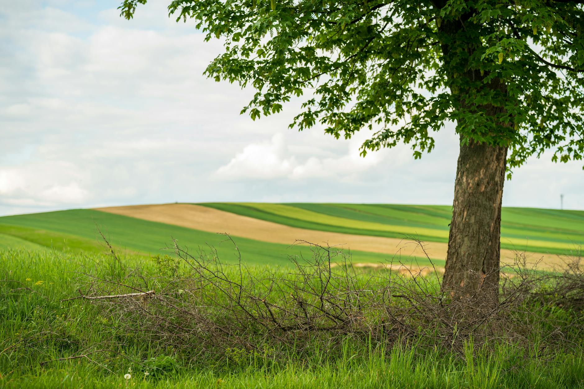 Vue de Olkusz