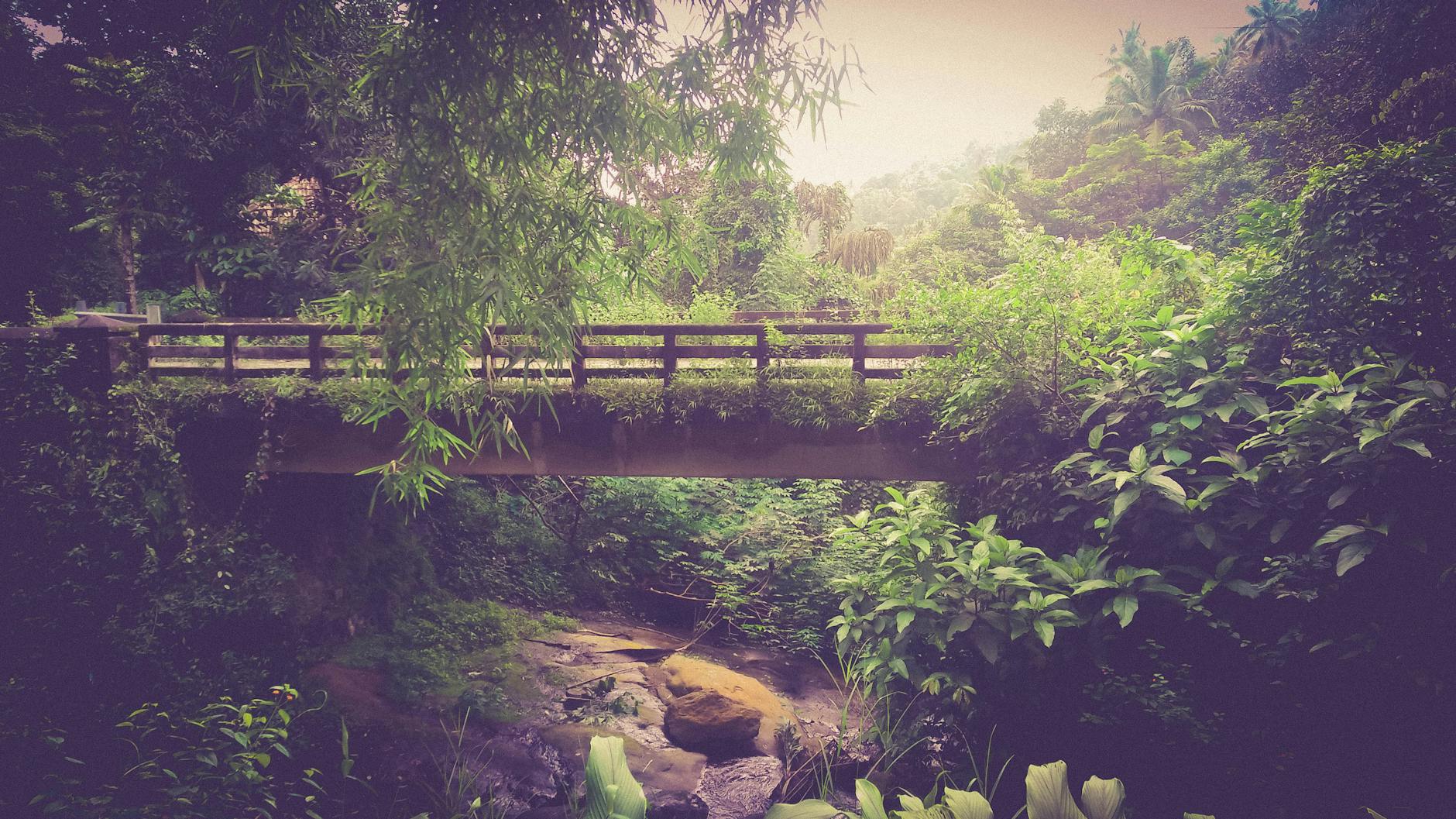 Vue de Palakkad