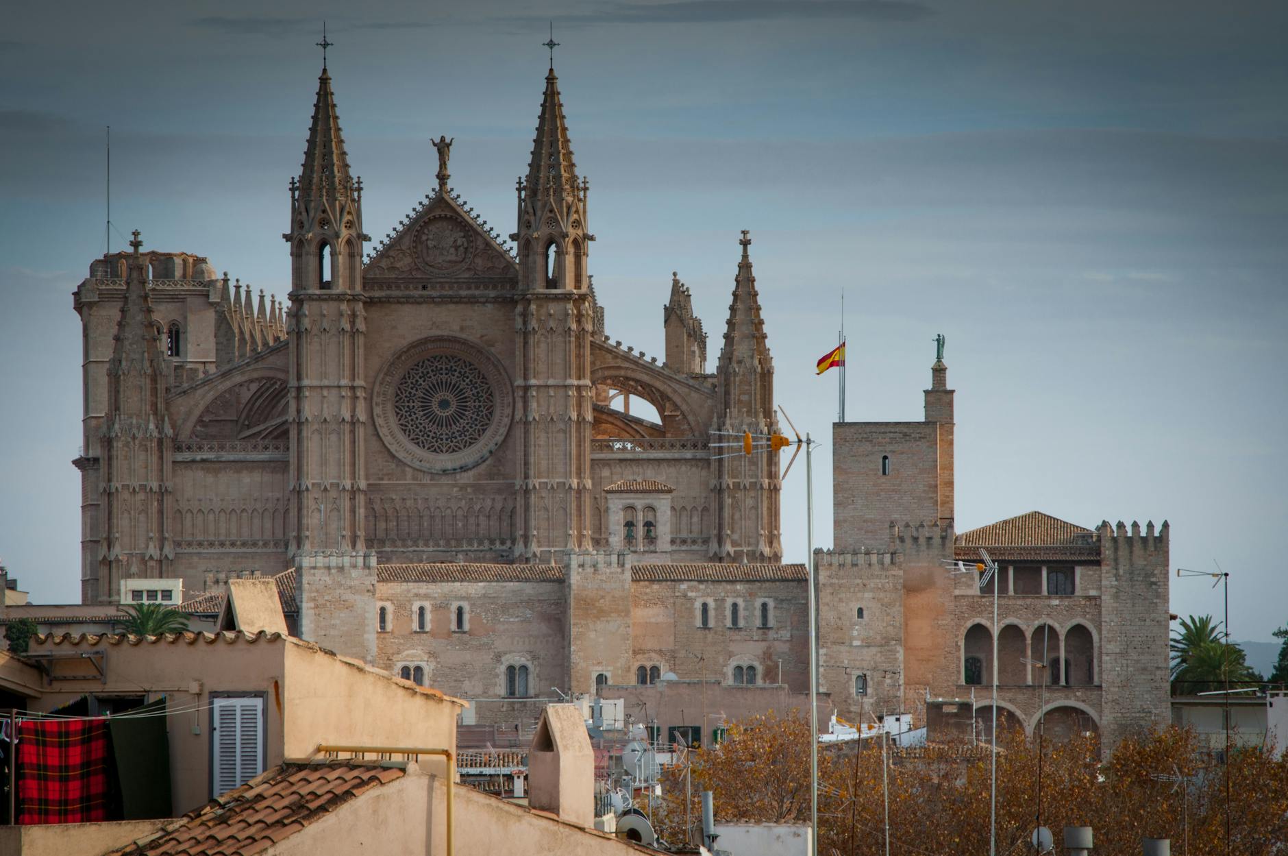 Vue de Palmas