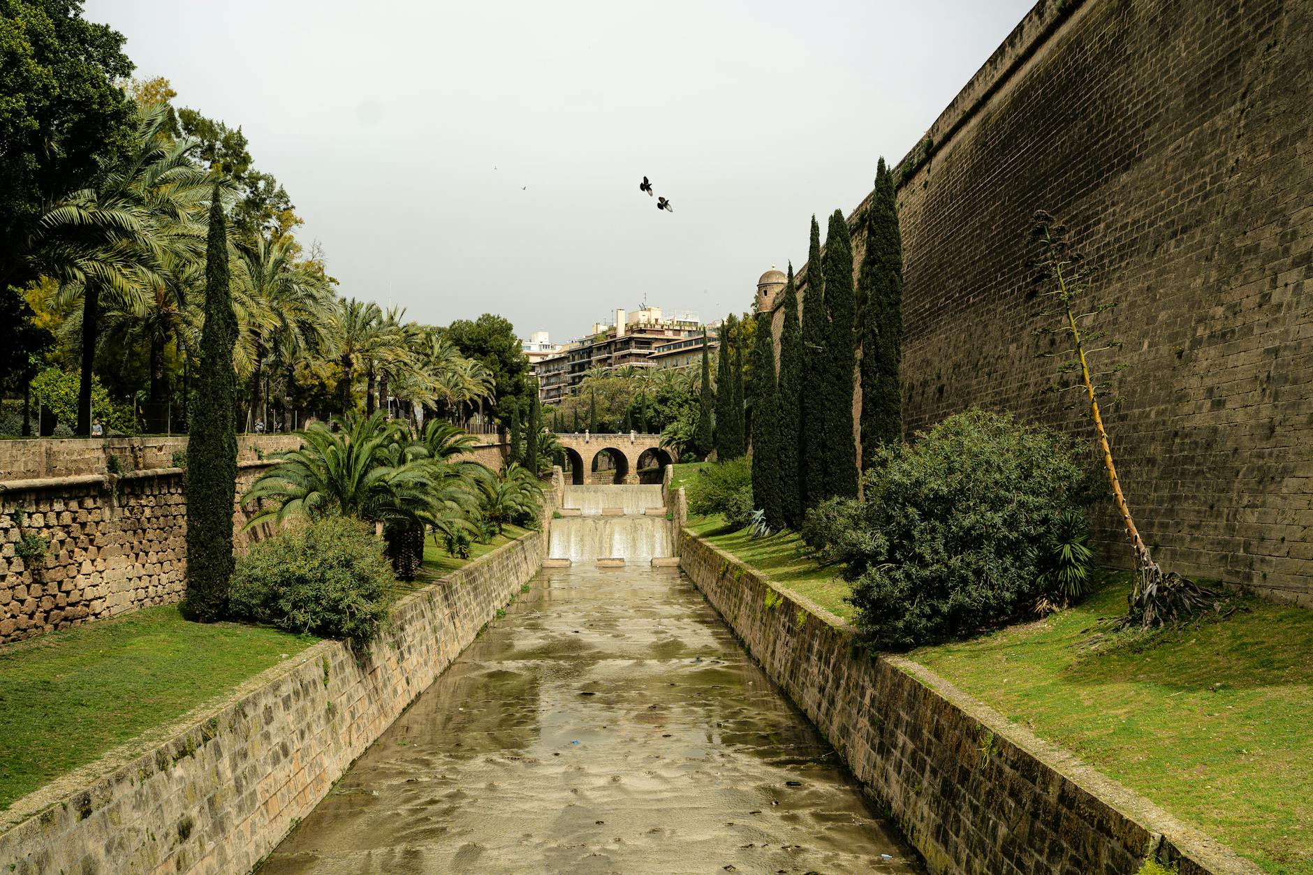Vue de Palmas