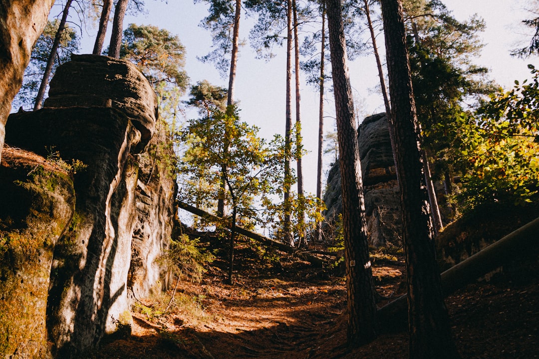 Vue de Pello
