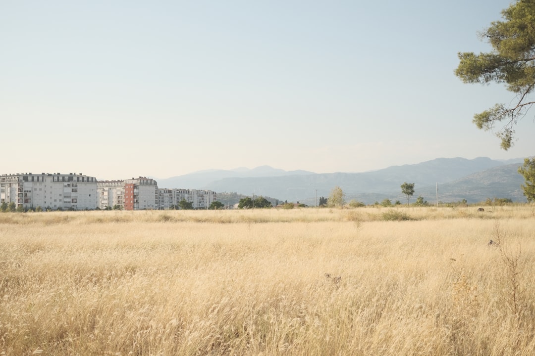 Paysage de Podgorica