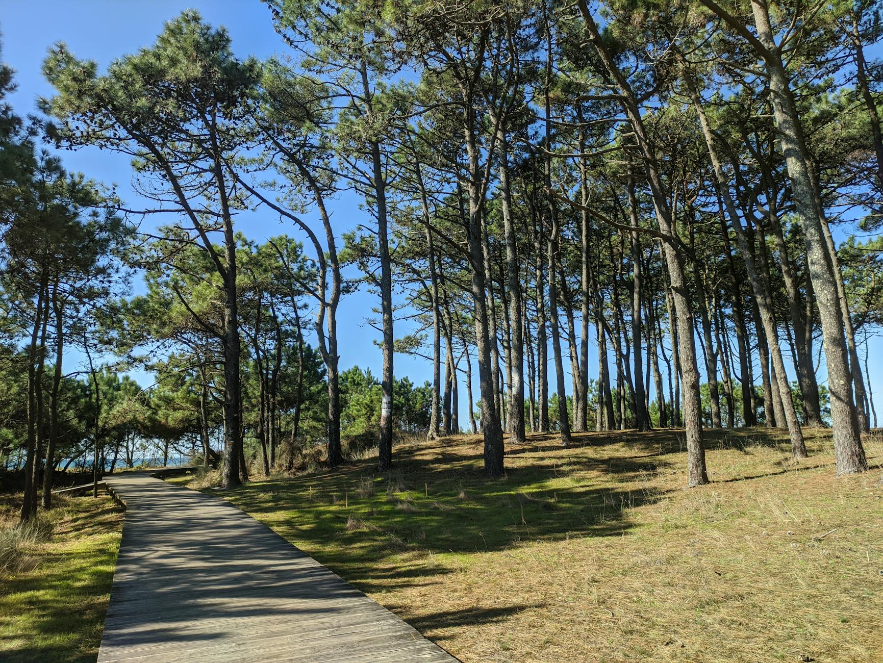 Vue de Pontevedra