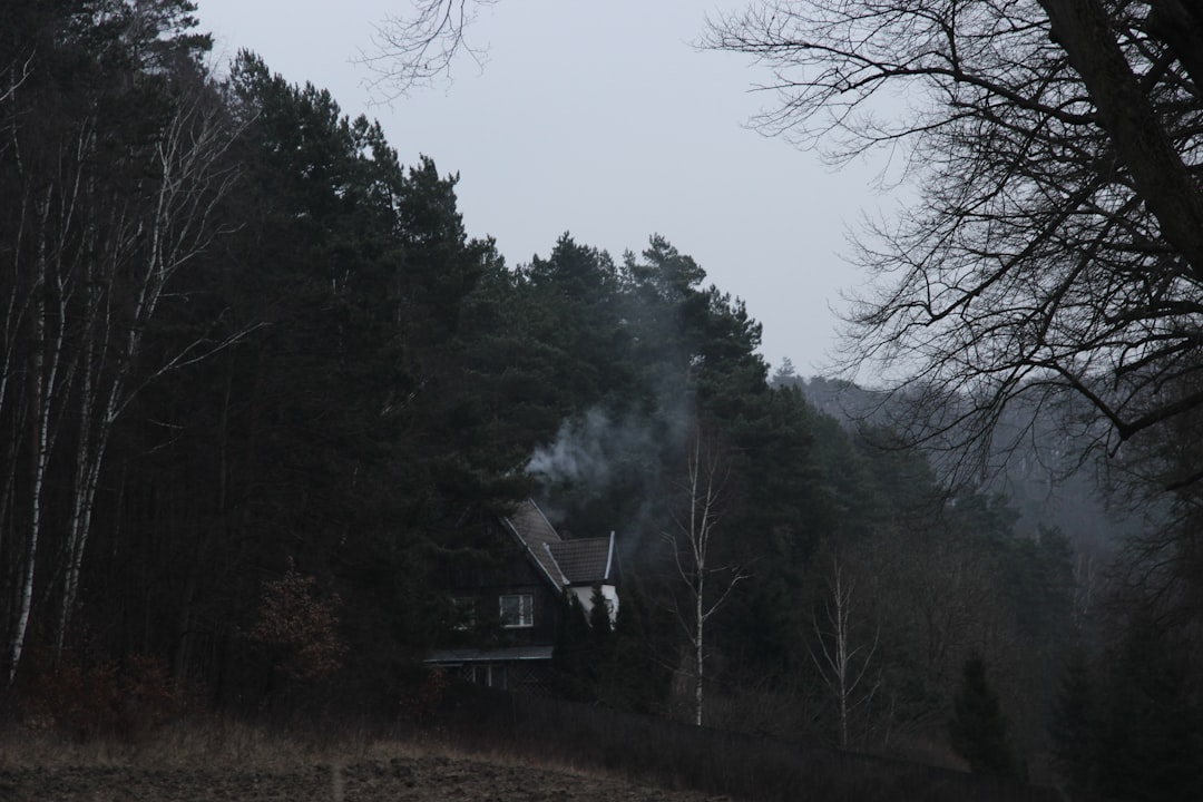 Vue de Savsjo