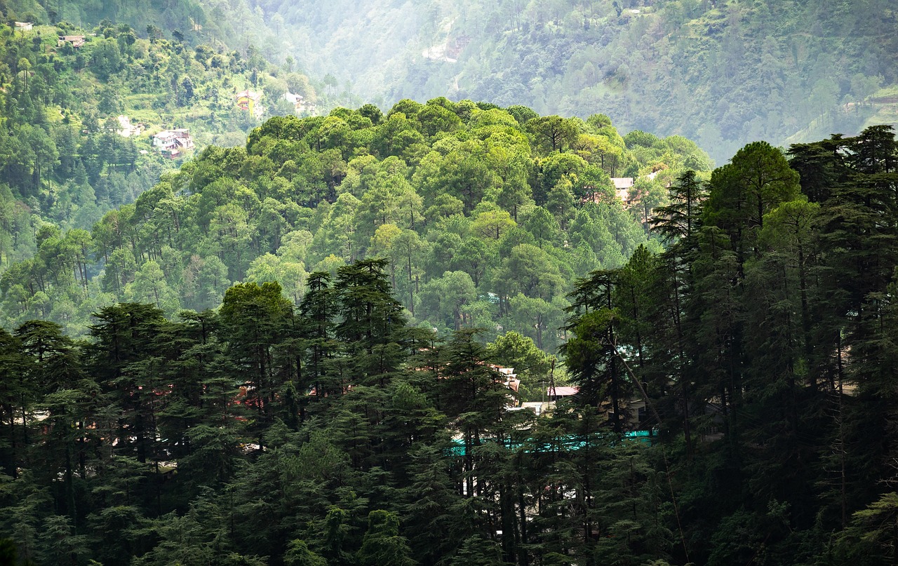 Vue de Shimla