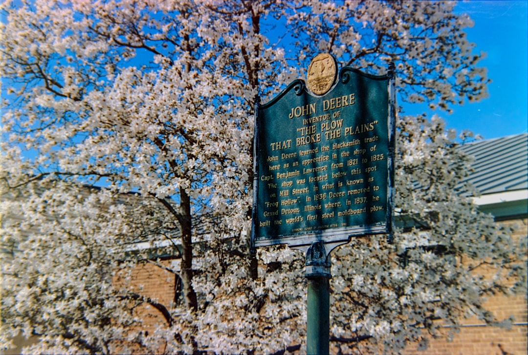 Vue de Spring