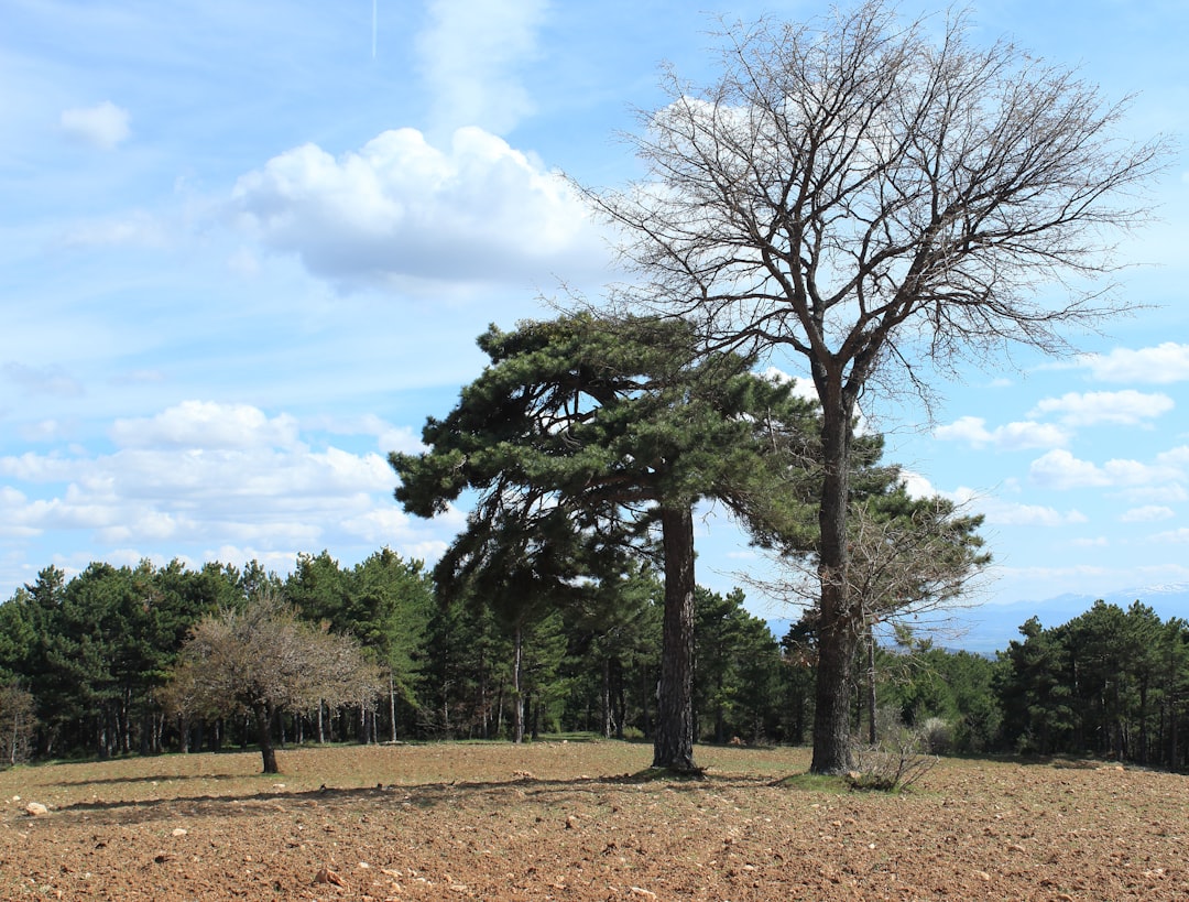 Vue de St-martin-pine