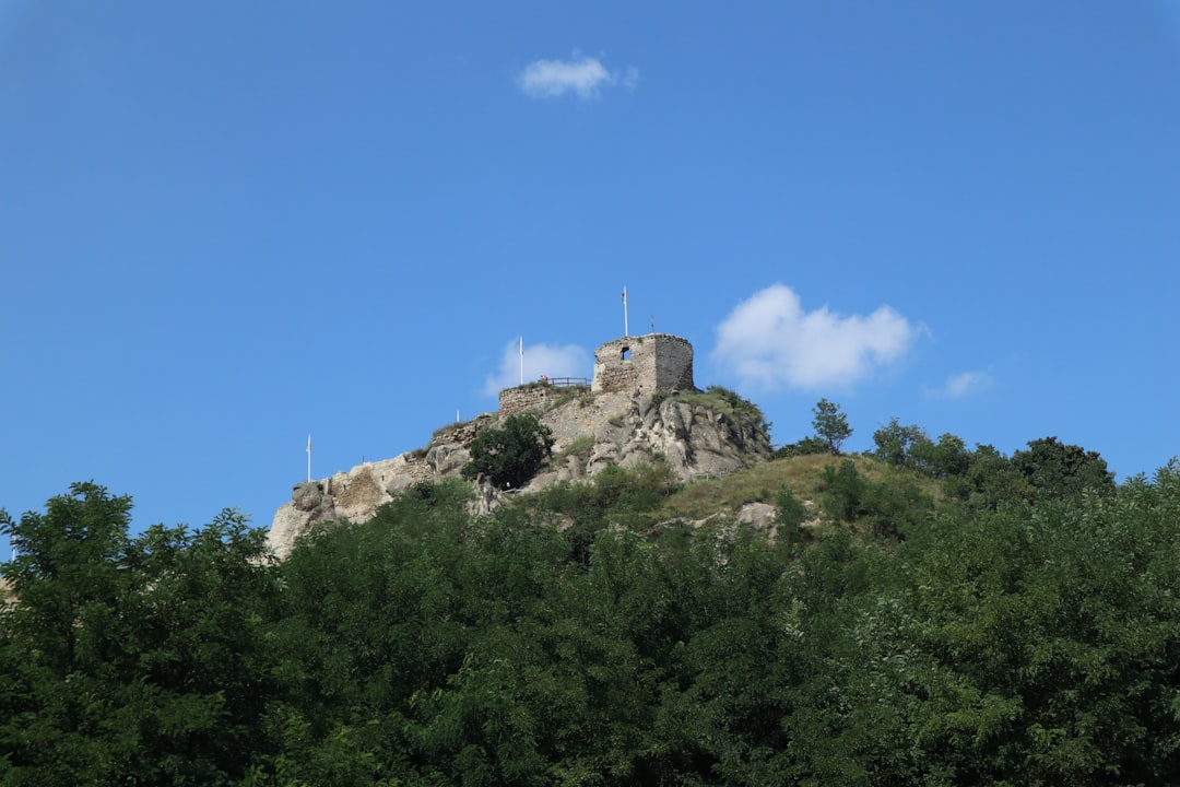 Vue de Surdulica