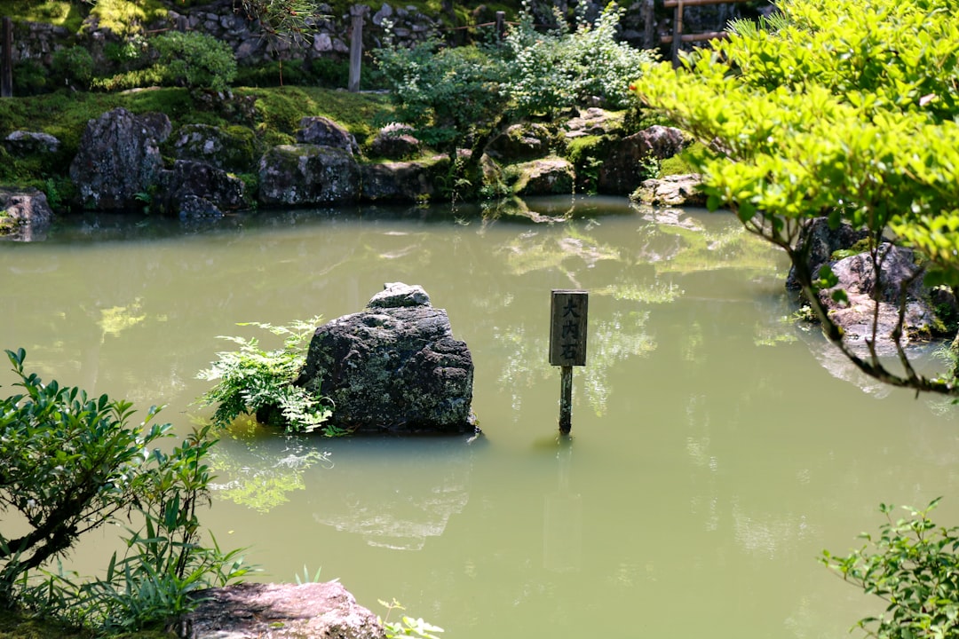 Vue de Suyu