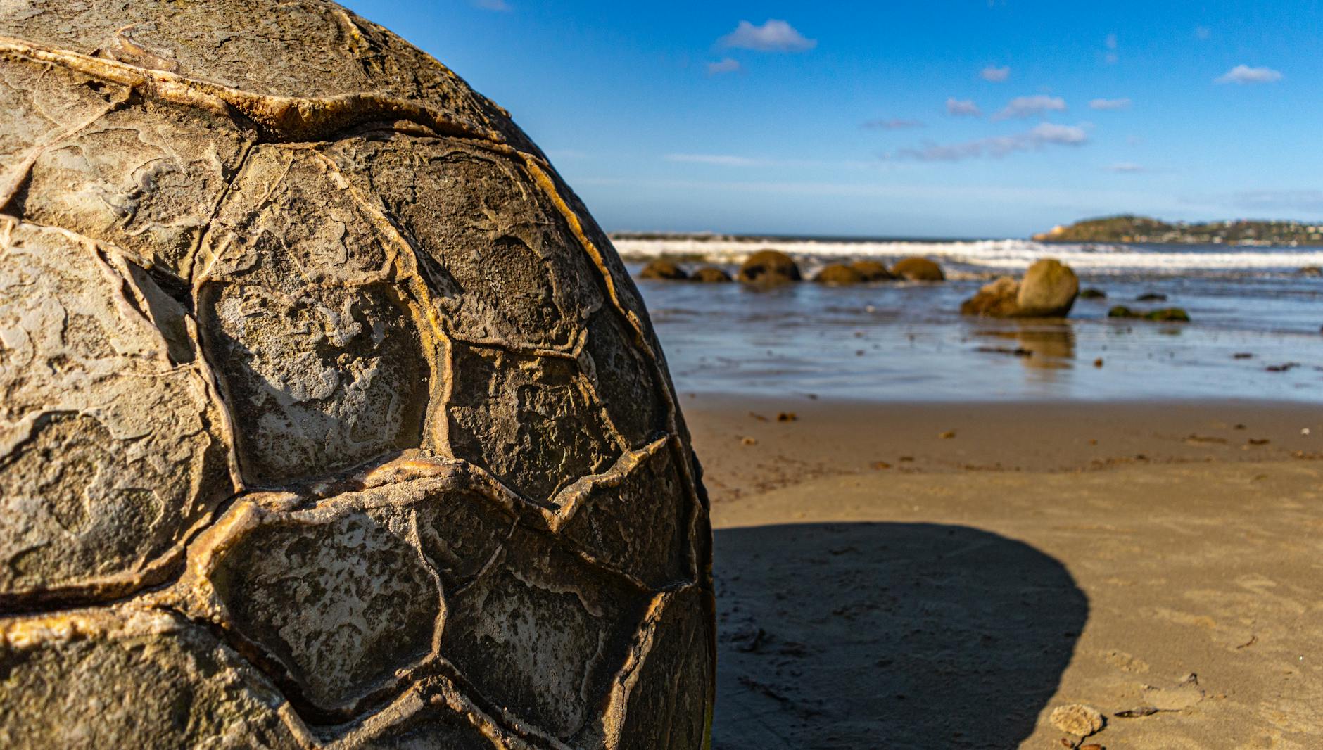 Paysage de Tauranga