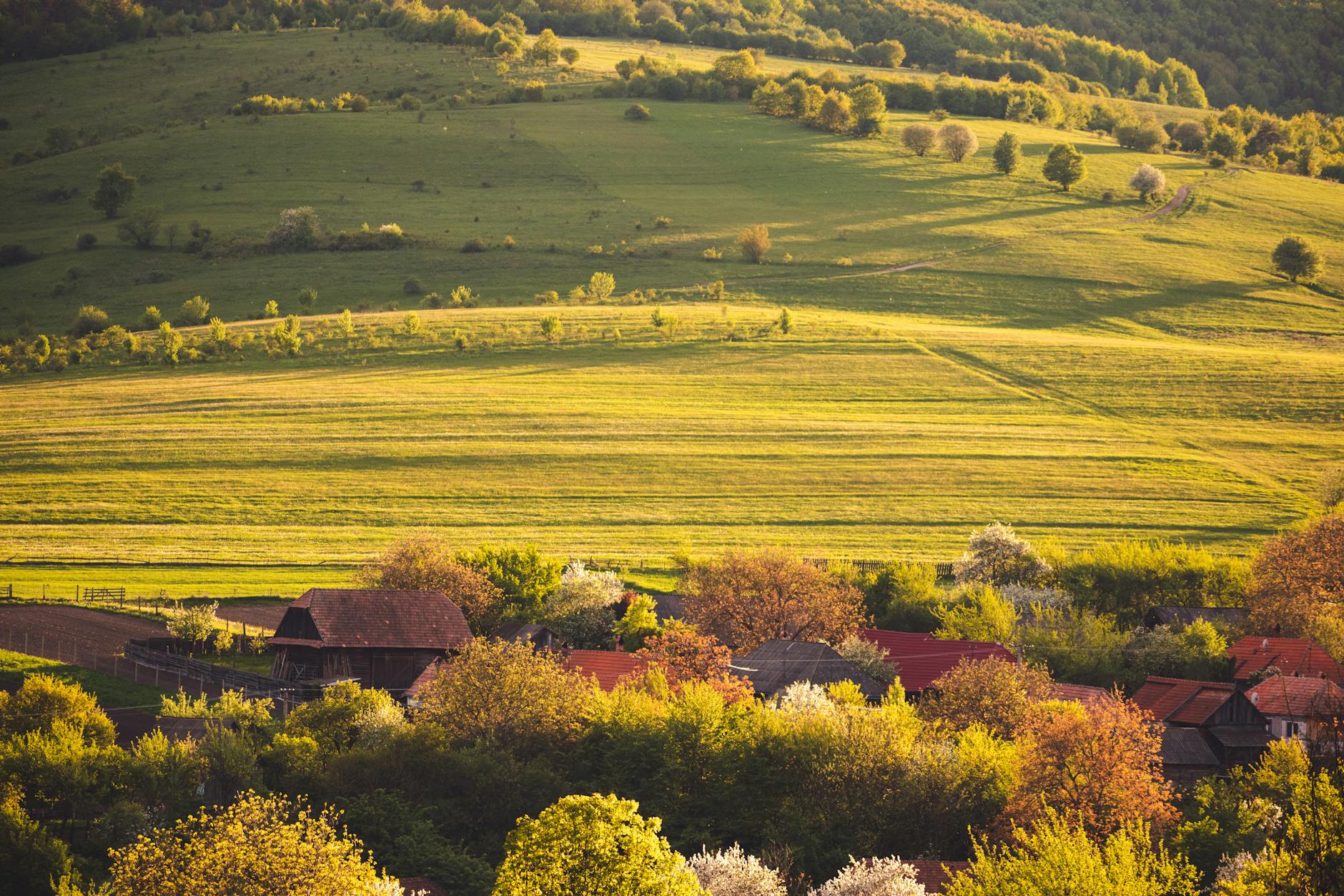 Vue de Valea-danului