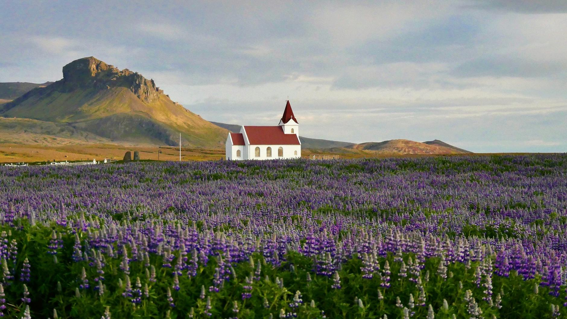Vue de Vik