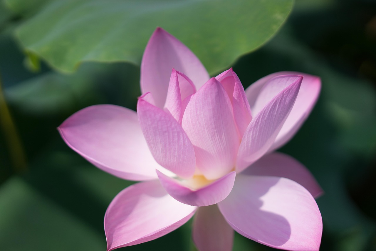 Vue de Wuxi